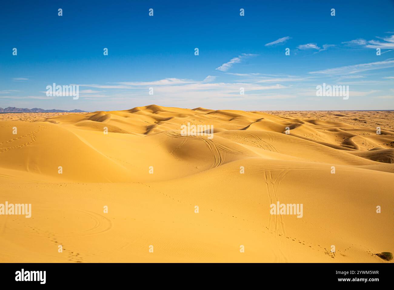 Wüstenwanderlust: Entdecken Sie die Schönheit der riesigen Sanddünen, die sich unter einem klaren blauen Himmel erstrecken, eine perfekte Kulisse für Abenteuer und Ruhe. Stockfoto