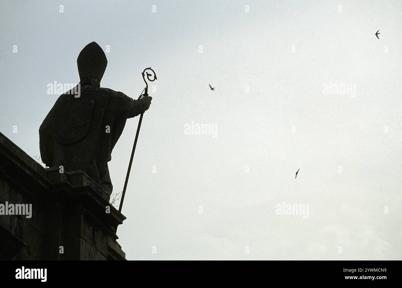 Statue des Papstes und der Swifts oben, Ortygia, Sirakus, Sizilien Stockfoto