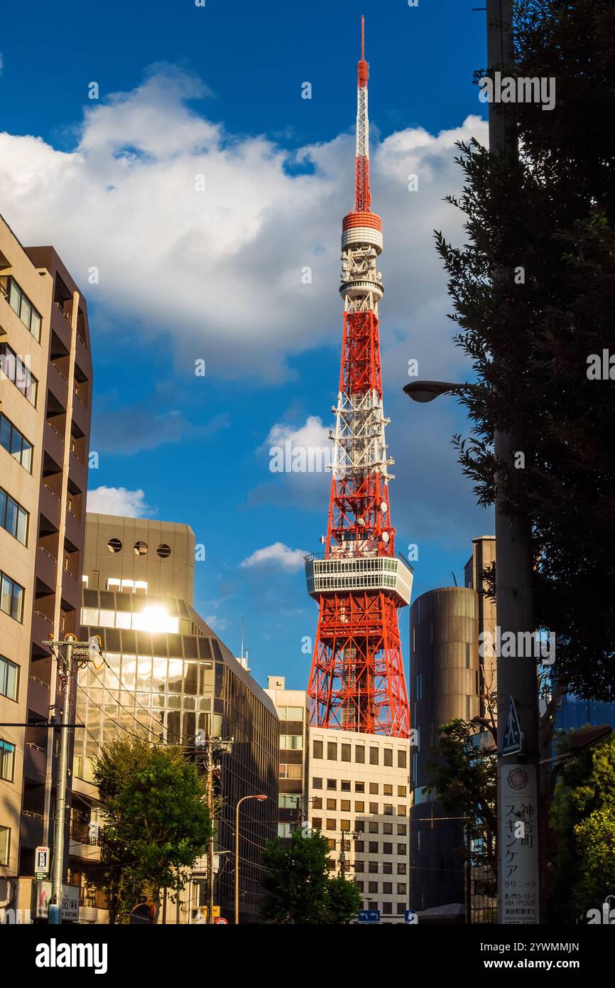 Blick auf den ikonischen Tokyo Tower von der Gaien Higashi Street in Minato Ward Stockfoto