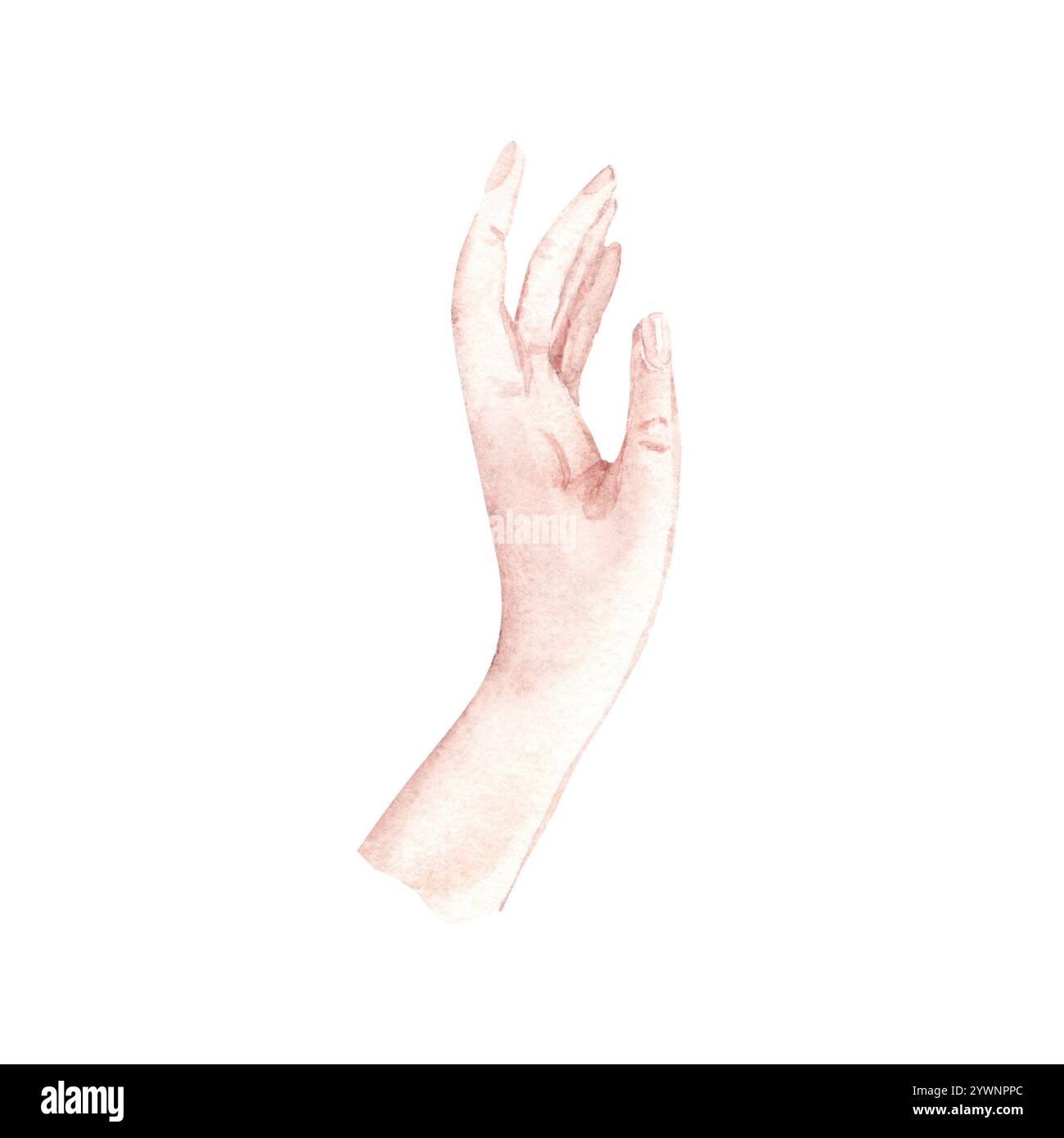 Frau linke Hand. Handgezeichnete Aquarellillustration von Arm in realistischem Stil, isoliert auf weißem Hintergrund. Designelement für Schönheitsprodukte oder Stockfoto