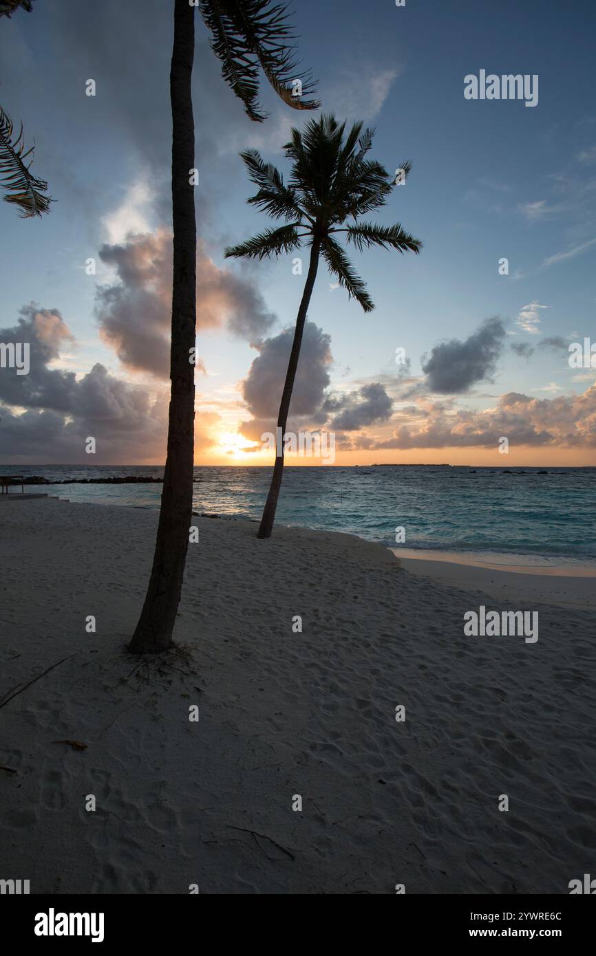 Wunderschöne Szenen am Strand auf den Malediven Stockfoto Wunderschöne Szenen am Strand auf den Malediven Stockfoto