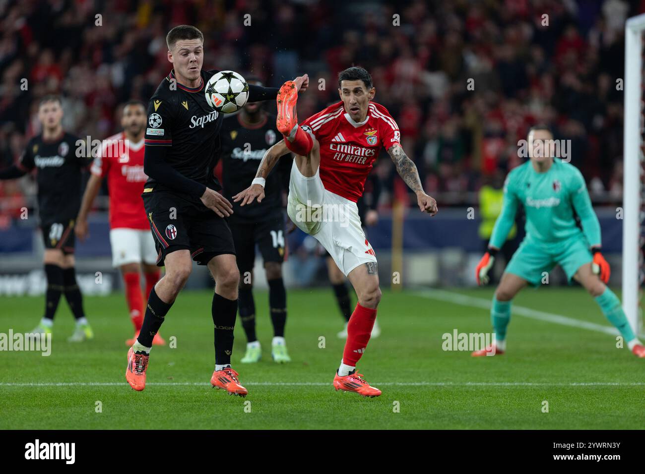 Dezember 2024. Lissabon, Portugal. Bolognas Verteidiger aus Schweden Emil Holm (2) und Benficas Stürmer aus Argentinien Angel Di Maria (11) im Spiel der Gruppenphase der UEFA Champions League, Sporting gegen Bologna Credit: Alexandre de Sousa/Alamy Live News Stockfoto