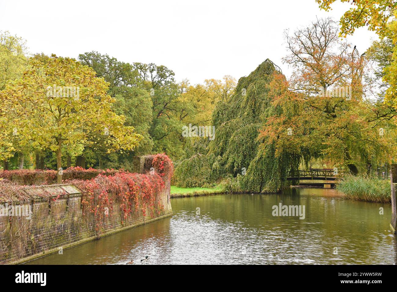 Utrecht, Niederlande. Oktober 2024. Park mit Teich in Herbstfarben. Hochwertige Fotos Stockfoto