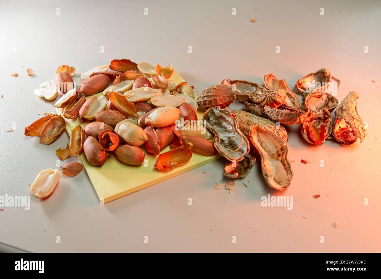 Geschälte Erdnüsse auf einer Theke mit leeren Schalen Stockfoto