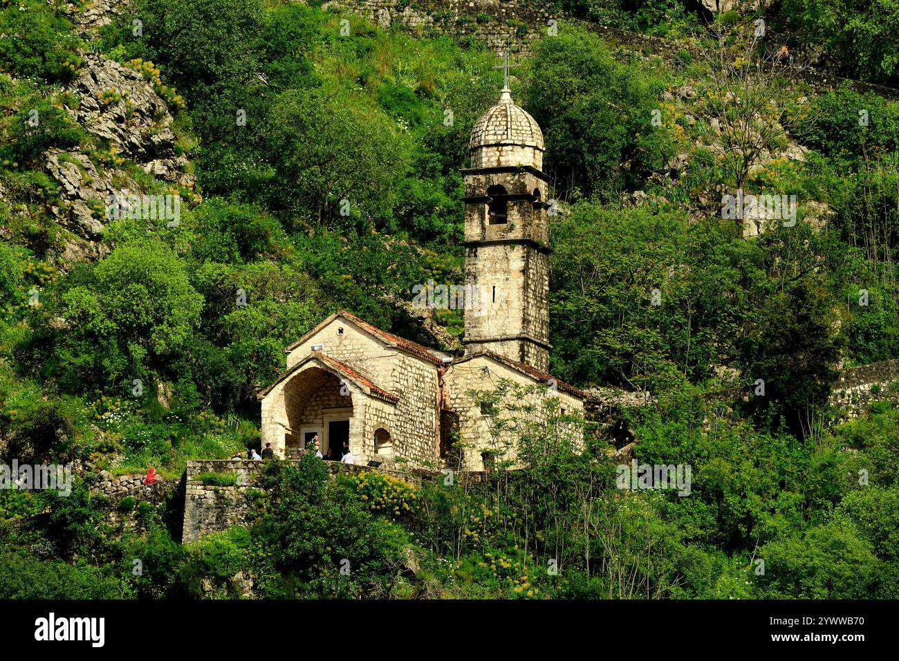 Kirche unserer Lieben Frau der Gesundheit, Kotor, Montenegro, Europa Kirche unserer Lieben Frau Remedy, Kotor, Montenegro, Europa Stockfoto