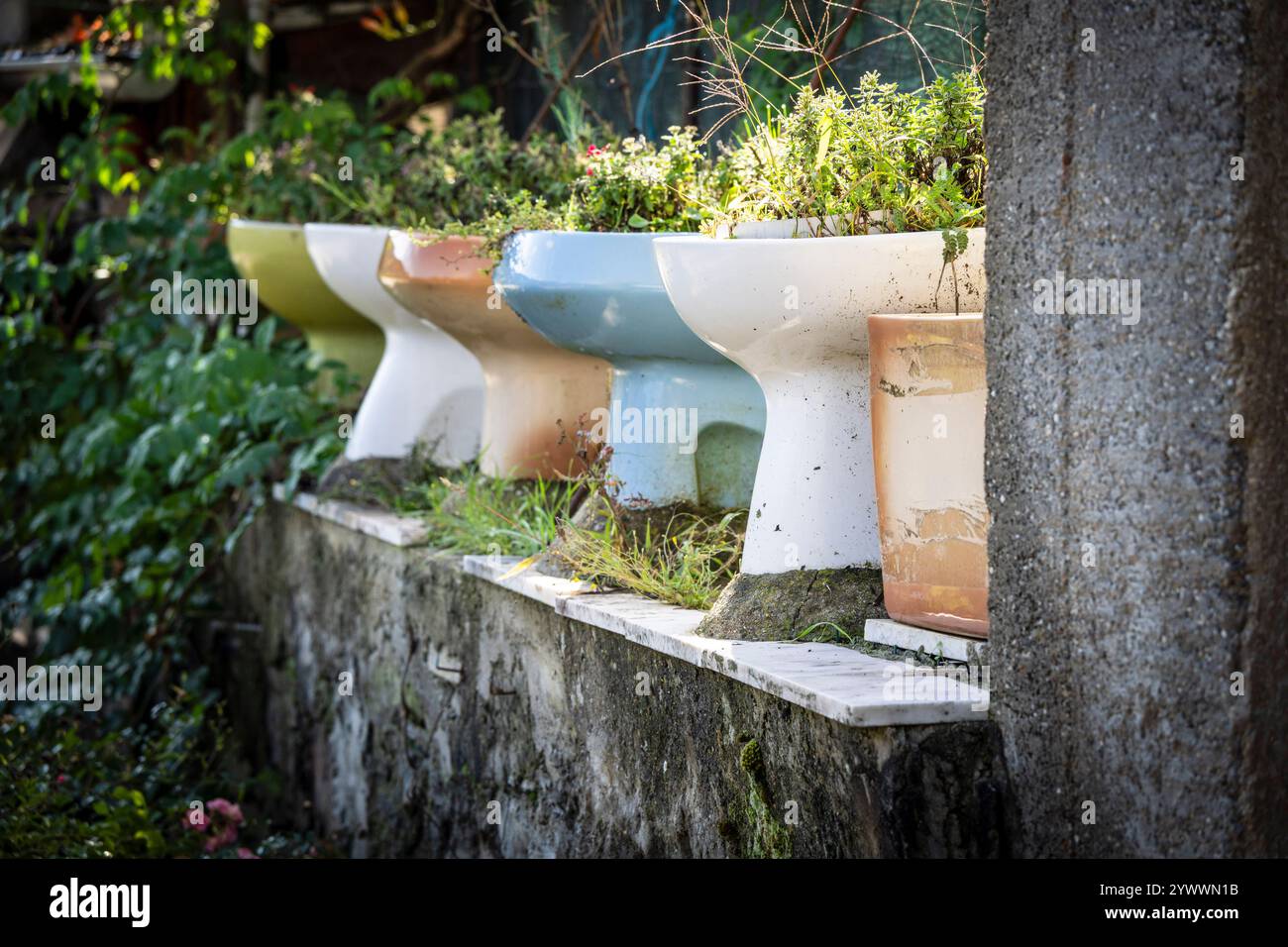 Toilettenschalen, die als Pflanzgefäße verwendet werden, Dorf Guadramil, Gemeinde Braganca, Naturpark Montesinho, Trás-os-Montes und Alto Douro, Portugal Stockfoto