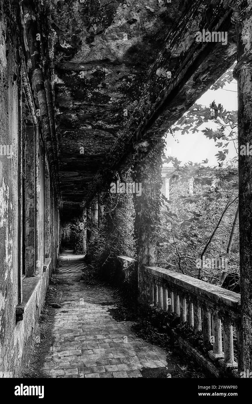 Die Ruinen des Sanatoriums Medea in Tskaltubo, Georgia, schwarz-weiß Stockfoto