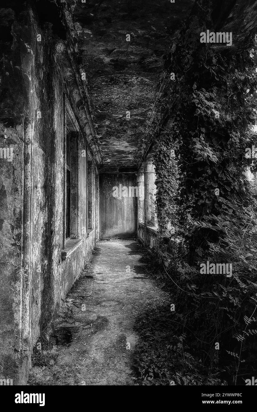 Die Ruinen des Sanatoriums Medea in Tskaltubo, Georgia, schwarz-weiß Stockfoto