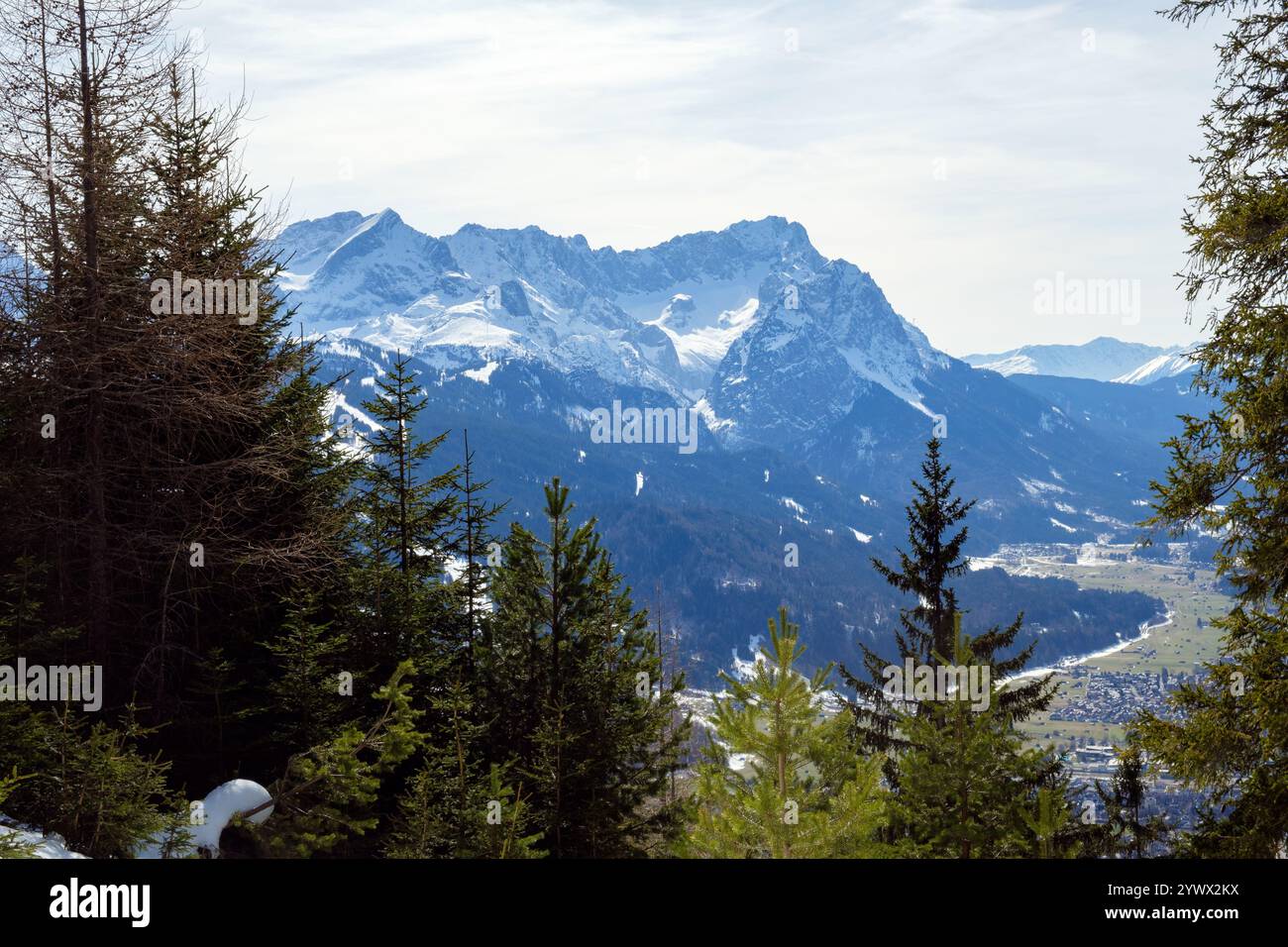 Majestätische schneebedeckte Gipfel erheben sich im Winter über den üppigen immergrünen Wald in Garmisch-Partenkirchen. Die atemberaubende Landschaft zeigt die Schönheit Stockfoto