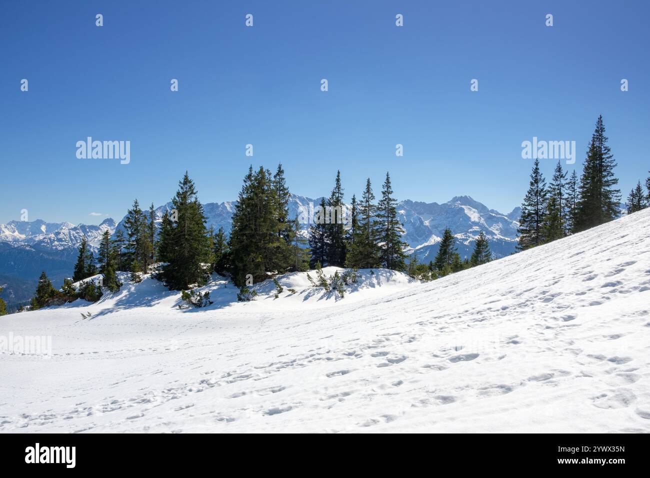 Ein heller Wintertag zeigt die atemberaubende schneebedeckte Landschaft von Garmisch-Partenkirchen in Bayern. Kiefern stehen inmitten des unberührten weißen sno Stockfoto