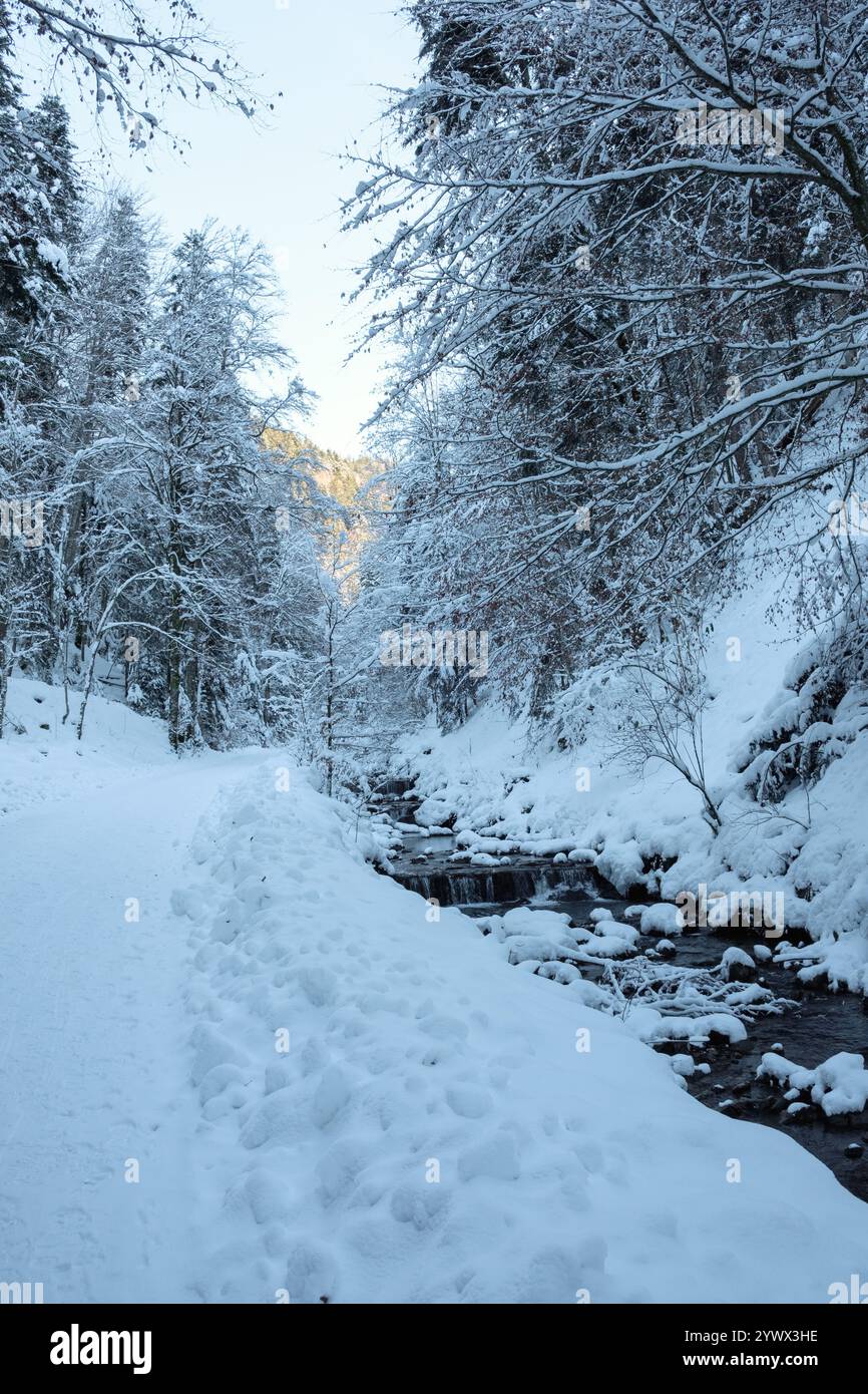 Eine ruhige Winterlandschaft Bayerns mit schneebedeckten Bäumen säumen einen ruhigen Pfad neben einem sanft fließenden Bach. Die friedliche Atmosphäre lädt ein Stockfoto