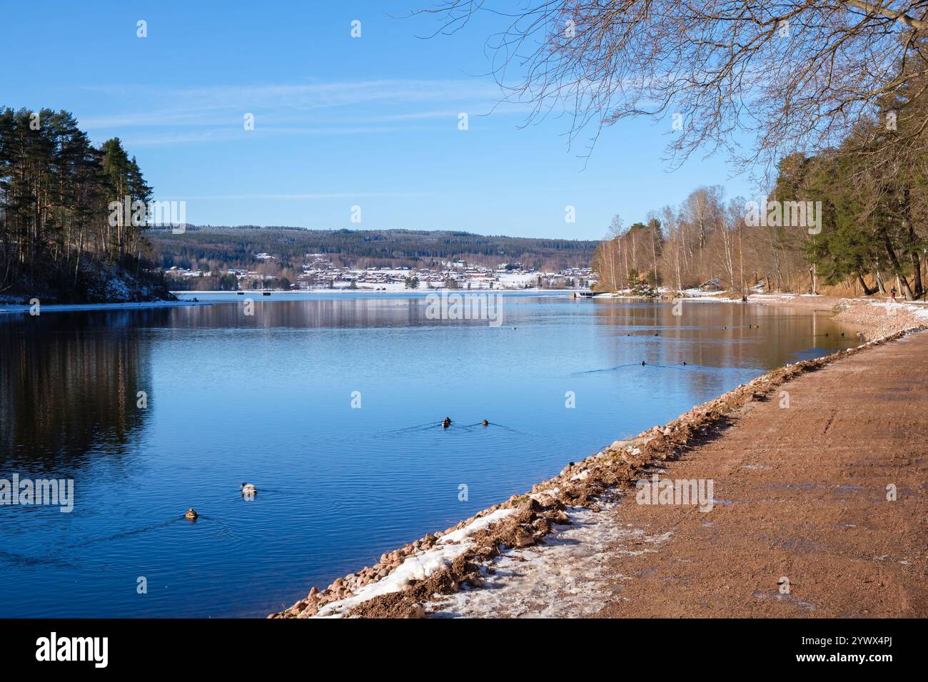 Schnee bedeckt den Boden entlang des Ufers eines ruhigen Sees in Leksand, Dalarna im Winter. Die Enten gleiten sanft über das ruhige Wasser unter einem hellen Licht Stockfoto