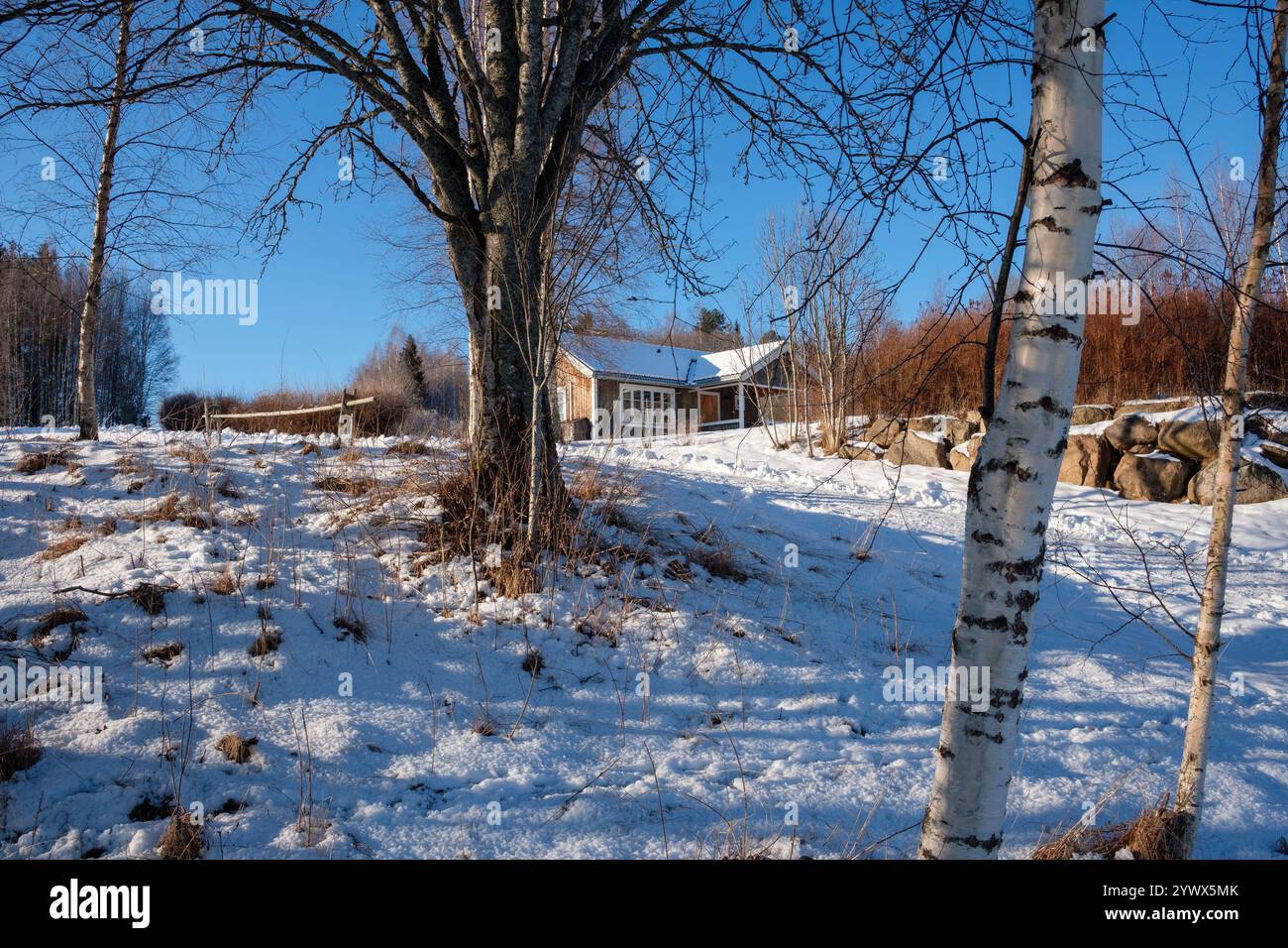 Ein ruhiger Wintertag in Västanvik, Dalarna, bietet eine schneebedeckte Landschaft. Ein gemütliches Holzhaus ist eingebettet zwischen Birkenbäumen, reflektiert die friedliche B Stockfoto