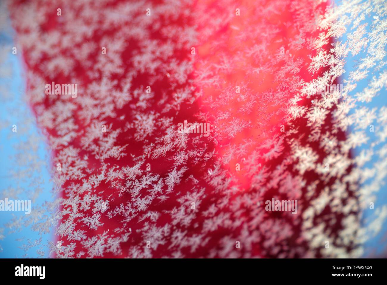 Schneeflocken decken Västanvik im Winter und zeigen die Kunstfertigkeit der Natur. Muster und Farben unterstreichen die Schönheit der Schneesaison in Dalarna. Stockfoto