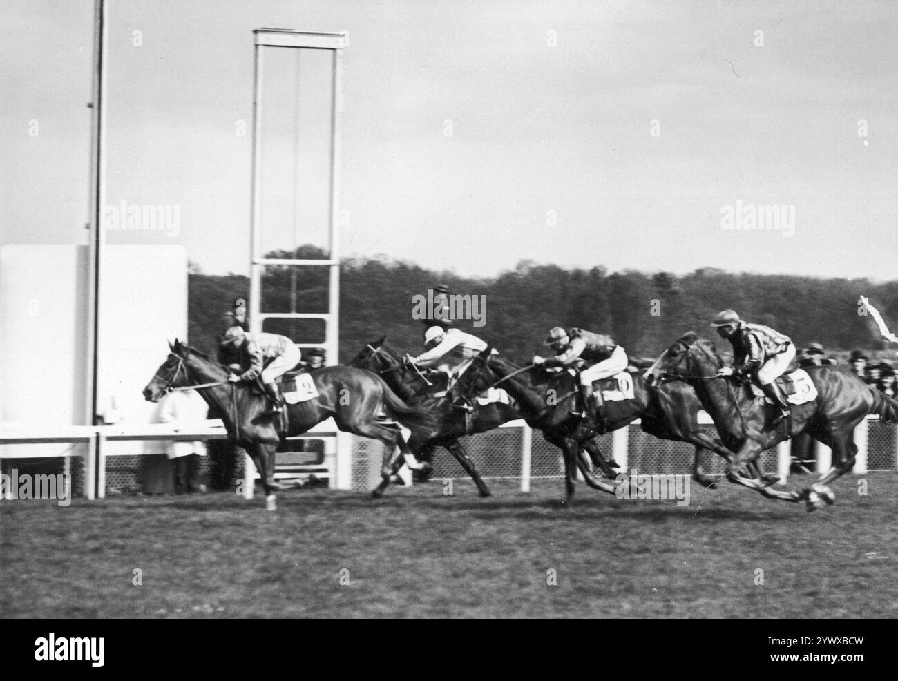 Le Prix de Greffulhe Pferderennen im Hippodrome de Longchamp in Paris 1937. Vintage French Archive Foto Die Teilnehmer des Pferderennens „Le Prix Greffulhe“ laufen bis zur Ziellinie. An der Spitze steht der Sieger des Wettbewerbs, P. Moulines, auf dem Pferd „Samy“. Stockfoto