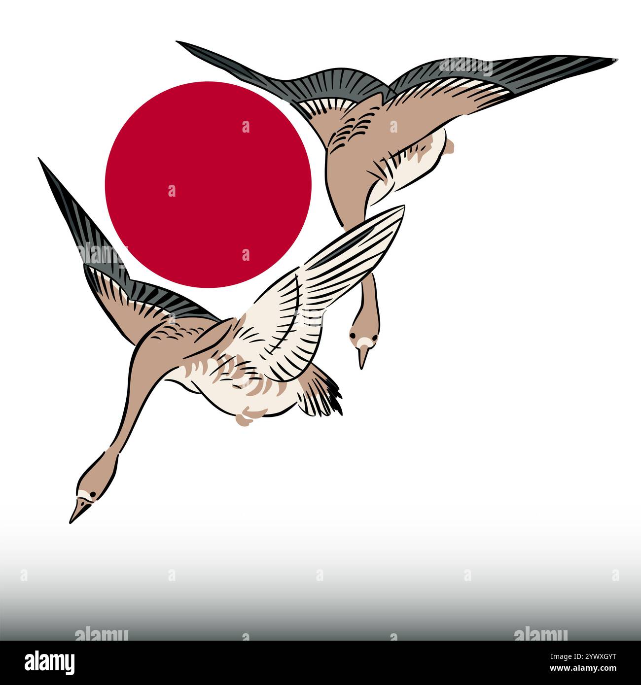 Zwei Gänse fliegen vor einer roten aufgehenden Sonne, dem Symbol der japanischen Nationalflagge. Nach einem Holzschnitt der Meiji-Ära von Yoshitoshi. Stockfoto