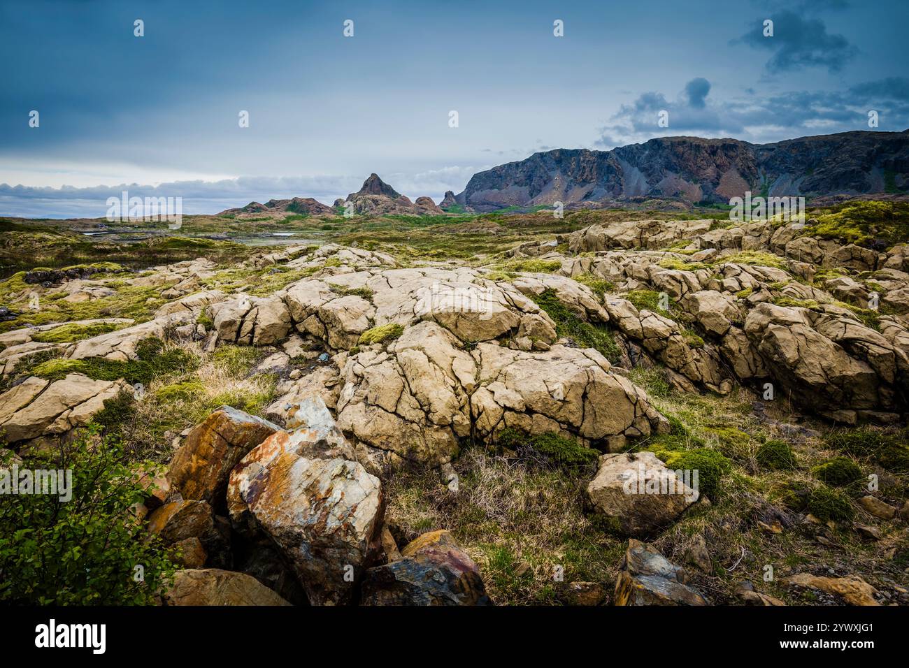 Felsformationen auf Leka Island, Trondelag, Norwegen. Diese Felsen waren einst Teil der nordamerikanischen Platte und machten dies zu einem einzigartigen geologischen Gebiet. Stockfoto