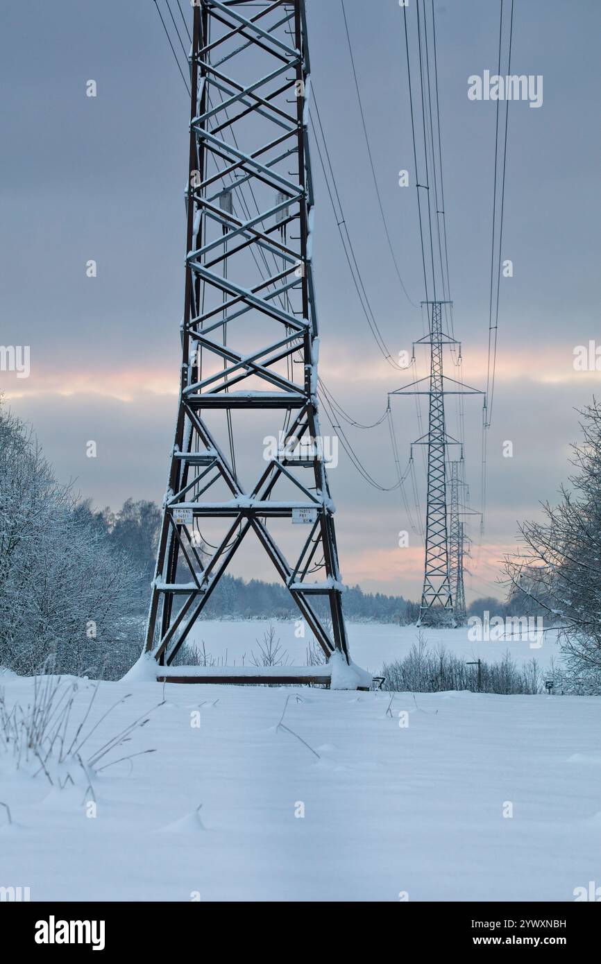 Pylon und Stromleitungen an einem bewölkten Wintertag. Stockfoto