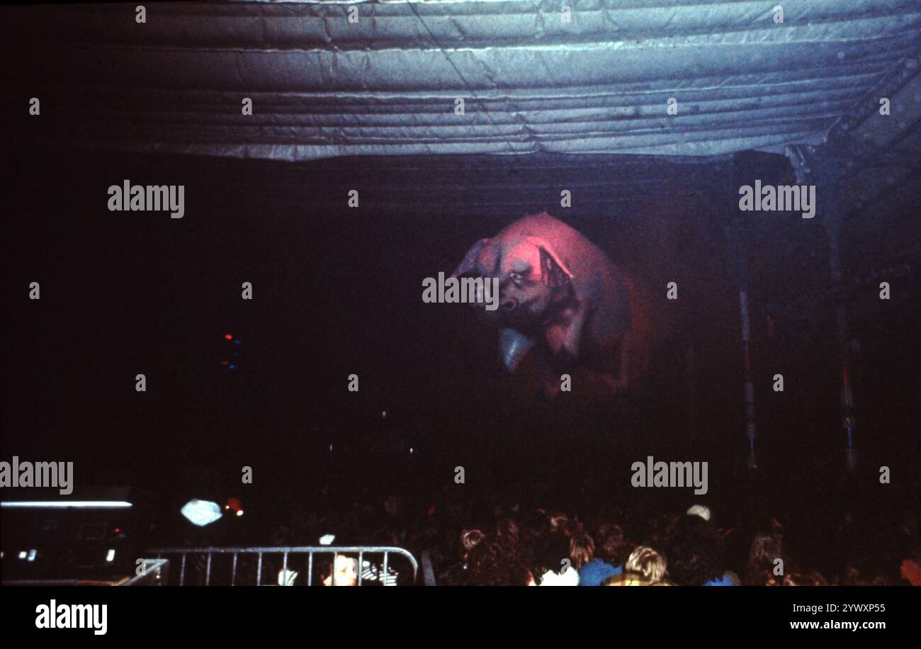 Philippe Gras / Le Pictorium - Pink Floyd - 21/02/2024 - Frankreich / Ile-de-France (Region) / Paris - Pink Floyd Konzert in Paris, 1970 Stockfoto