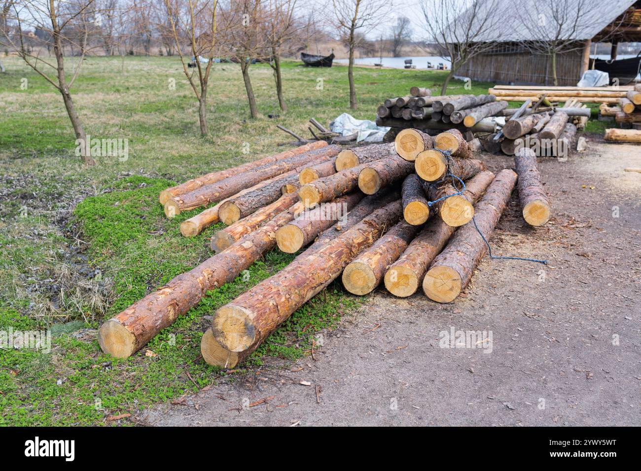 Ein gepflegter Haufen frisch geschnittener Baumstämme stapelt sich in einem ländlichen Hof, umgeben von Bäumen und grünem Gras unter einem bewölkten Himmel. Stockfoto
