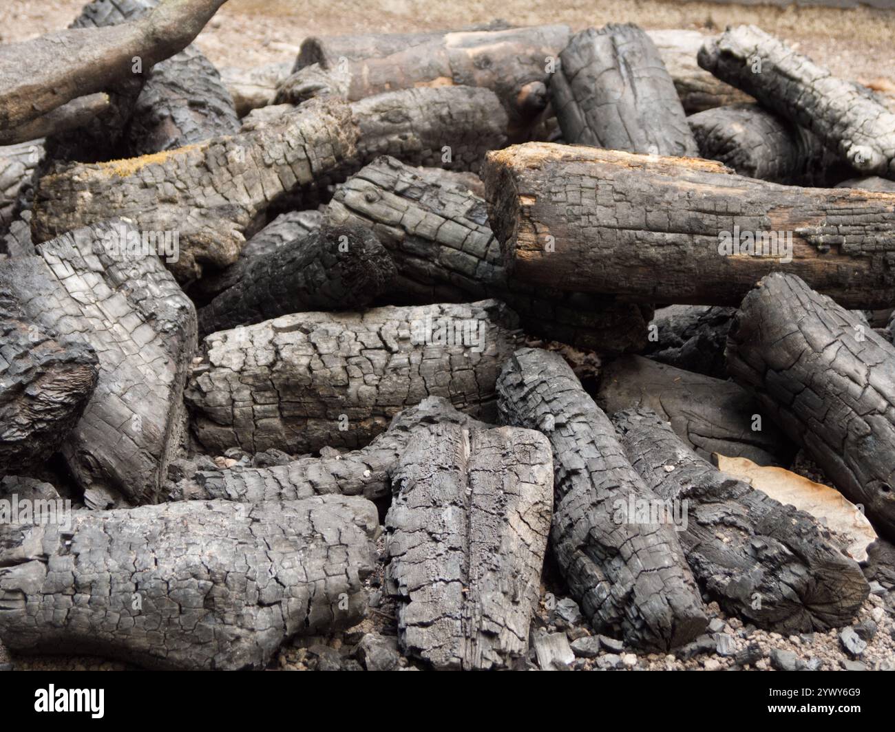 Nahaufnahme verbrannter und geschwärzter Baumstämme, die draußen auf dem Boden auf einem Haufen liegen. Stockfoto