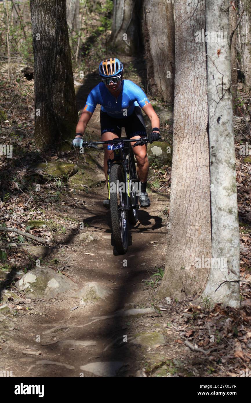 Cross Country Trail Race/XCO Race im WindRock Bicycle Park in Oliver Springs, Tennessee, USA. Stockfoto