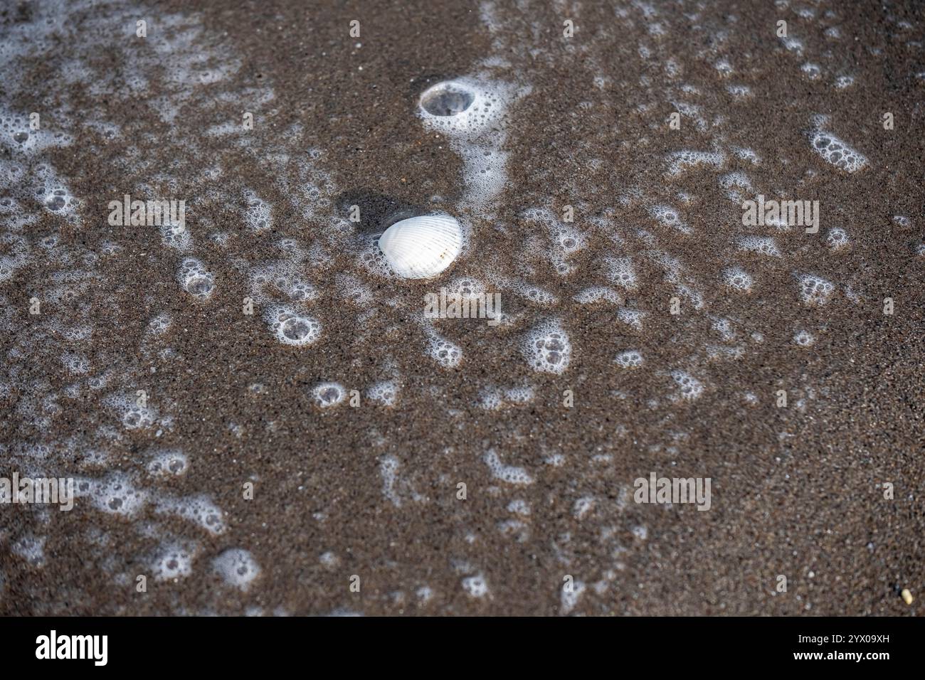 Ein Strand mit Schaum und Blasen auf dem Sand. Der Schaum ist weiß und die Blasen sind schwarz Stockfoto