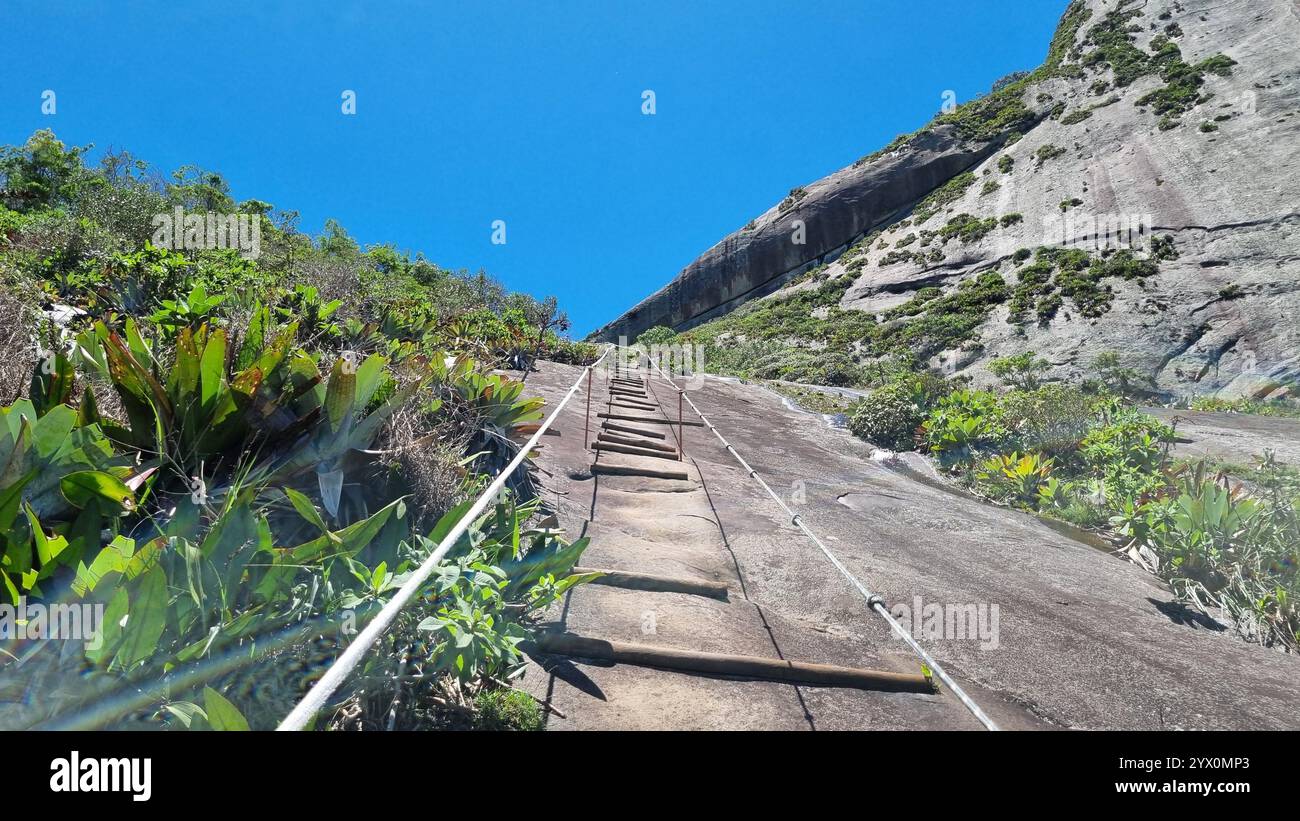 Eine prekäre Holzseilleiter zieht sich nach oben und lockt die Entdecker dazu an, eine Stufe nach der anderen höher zu klettern - Smartphone-aufgenommenes Stockfoto