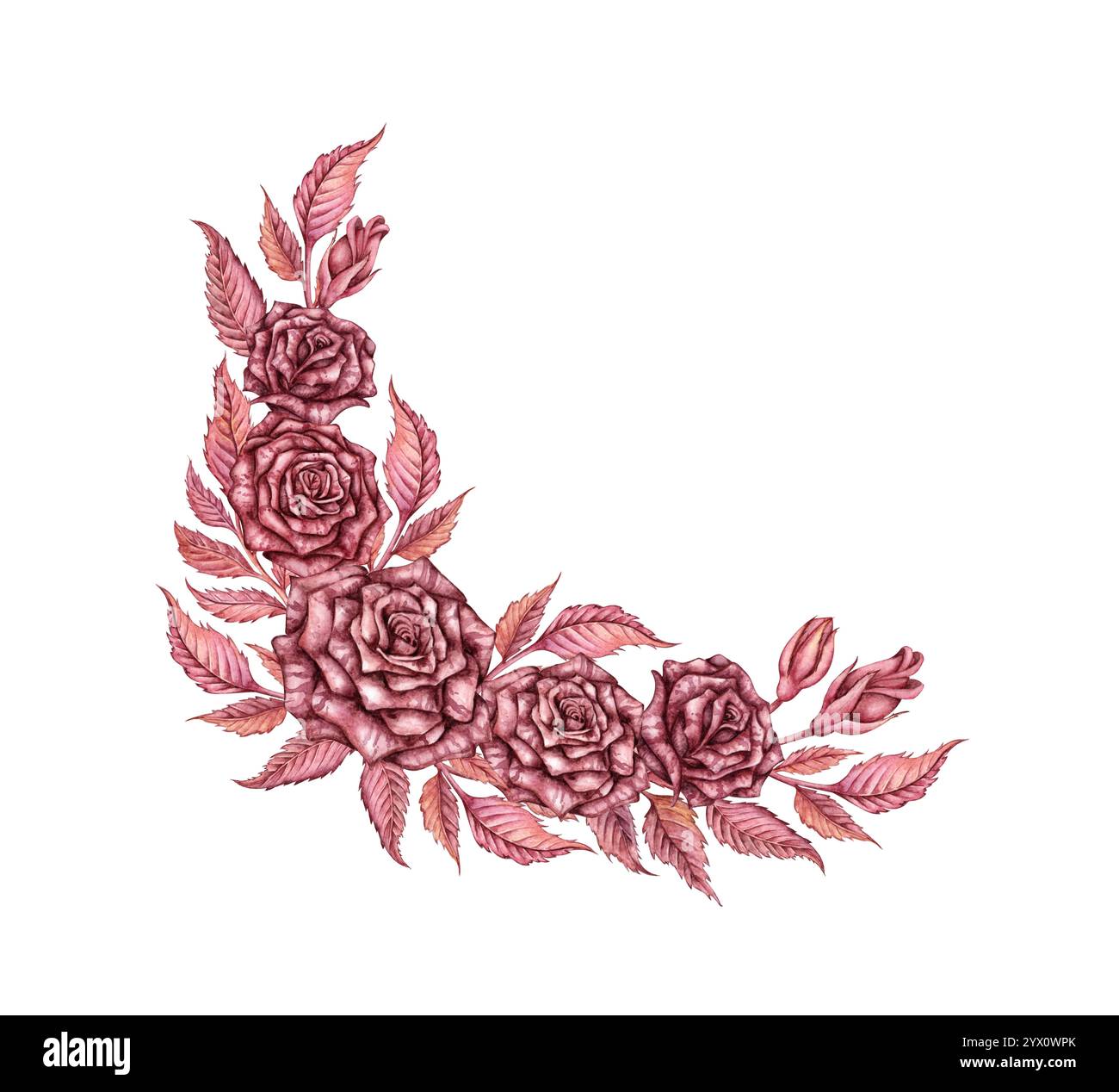 Rose mit Blättern und Knospen, burgunderrote gotische Aquarellillustration. Halloween oder Day of the Dead botanische Dekoration isoliert vom Hintergrund. Kompott Stockfoto