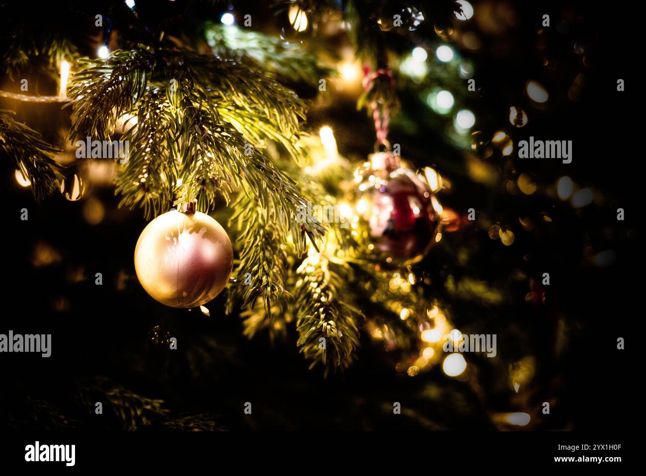 Nahaufnahme von leuchtenden Weihnachtsbaumschmuck auf festlichem Evergreen Branch Stockfoto