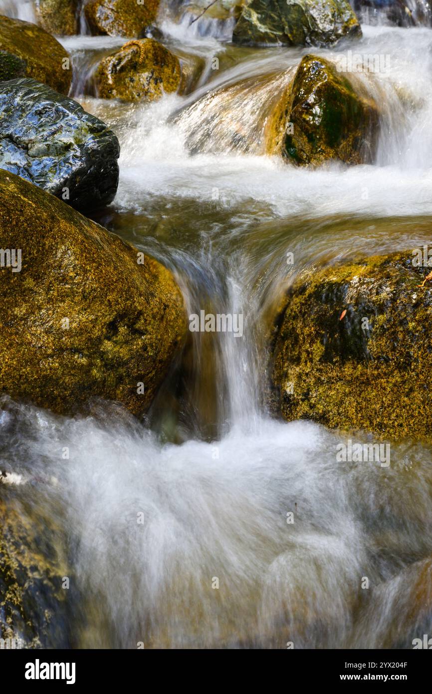 Frisches Bergwasser stürzt in seidenhafter Bewegung über Flussfelsen Stockfoto