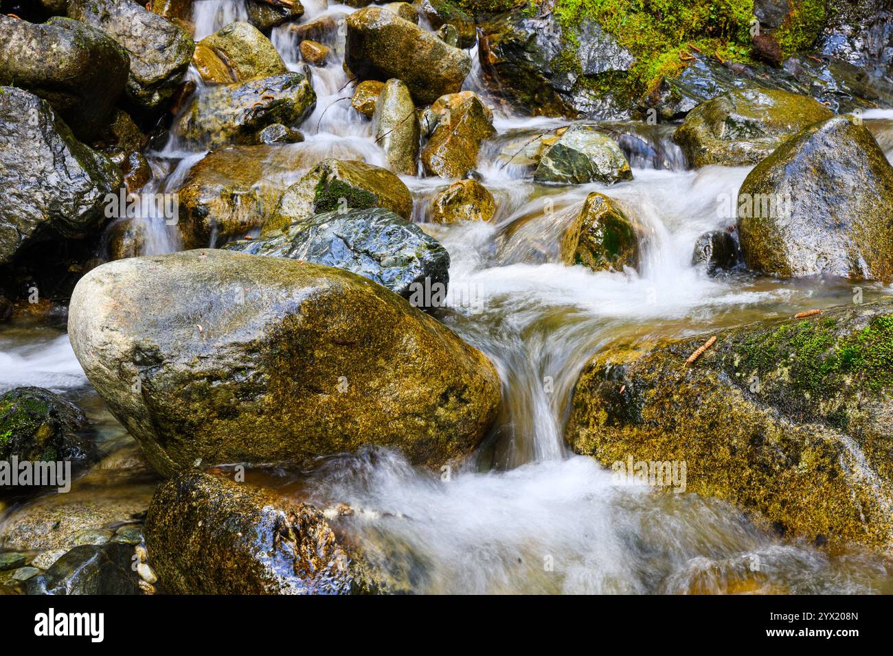 Süßwasserbach, der über glatte Flussfelsen in der Berglandschaft fällt Stockfoto