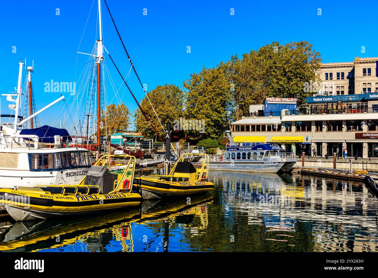 Eine Gruppe von Booten legt an einem Yachthafen an, wobei eines davon ein gelbes Rettungsboot ist. Die Szene ist friedlich und ruhig, die Boote spiegeln die blu Stockfoto