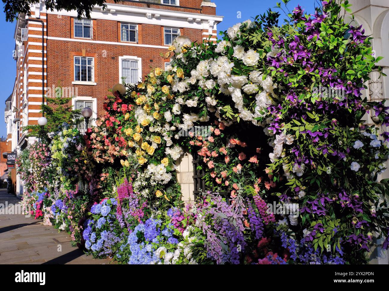 Echte Blumendekoration im Bluebird Restaurant in King's Road für Chelsea Flower Show und Chelsea in Bloom 2024 London, England, Großbritannien Stockfoto