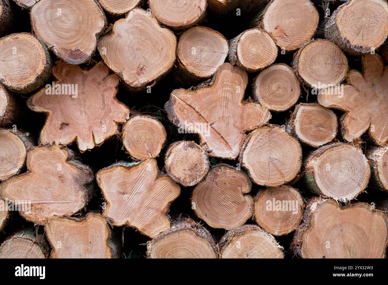 Stapel von gehäkelten Bäumen. UK Stockfoto
