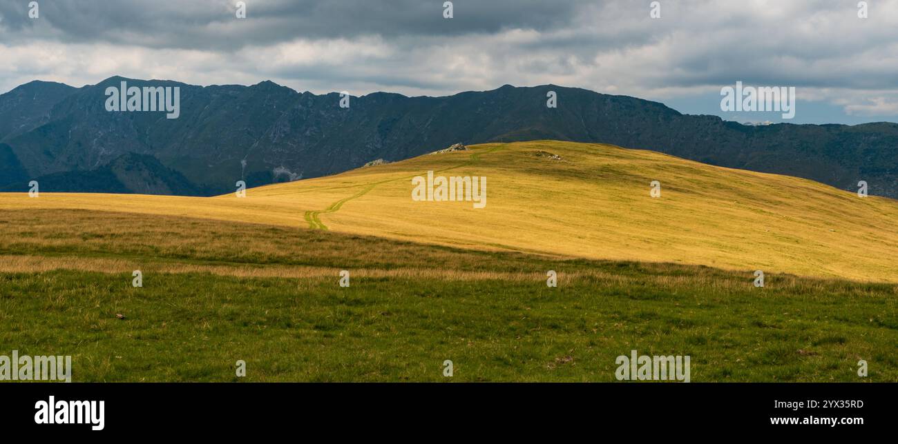 Wunderschöne Valcan-Berge in Rumänien mit Wiesen und wilderen felsigen Oslea-Gebirgsrücken im Sommer Stockfoto