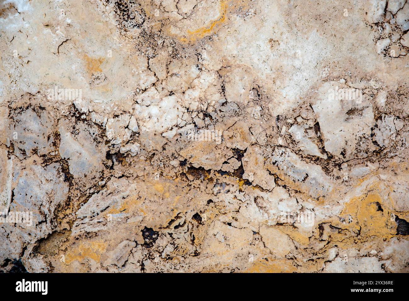 Zufällige, Einzigartige, Natürliche Cannstatter Travertin Textur - Süßwasser Kalkstein Hintergrund Stockfoto