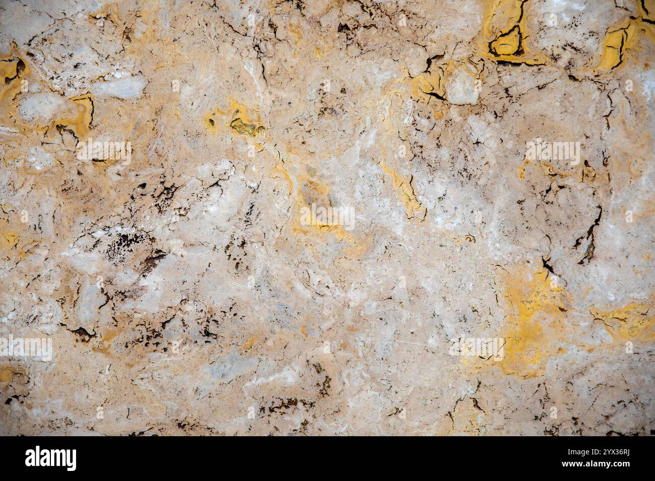 Zufällige, Einzigartige, Natürliche Cannstatter Travertin Textur - Süßwasser Kalkstein Hintergrund Stockfoto