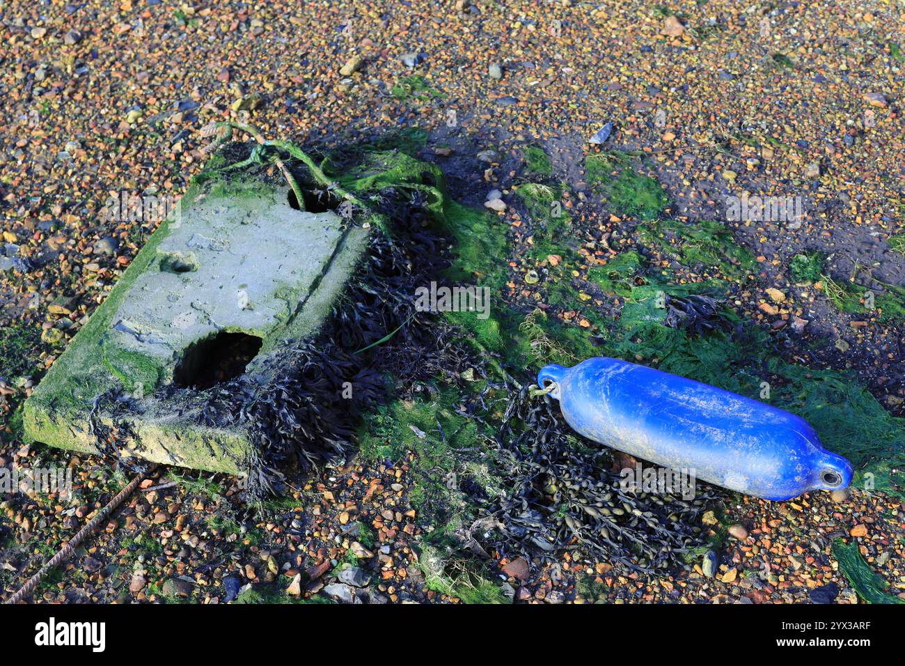 Ein Betonblock an einem Strand mit einem blauen Schwimmer, der mit einem Seil befestigt ist, der Block umhüllt von Algen und Algen. Stockfoto