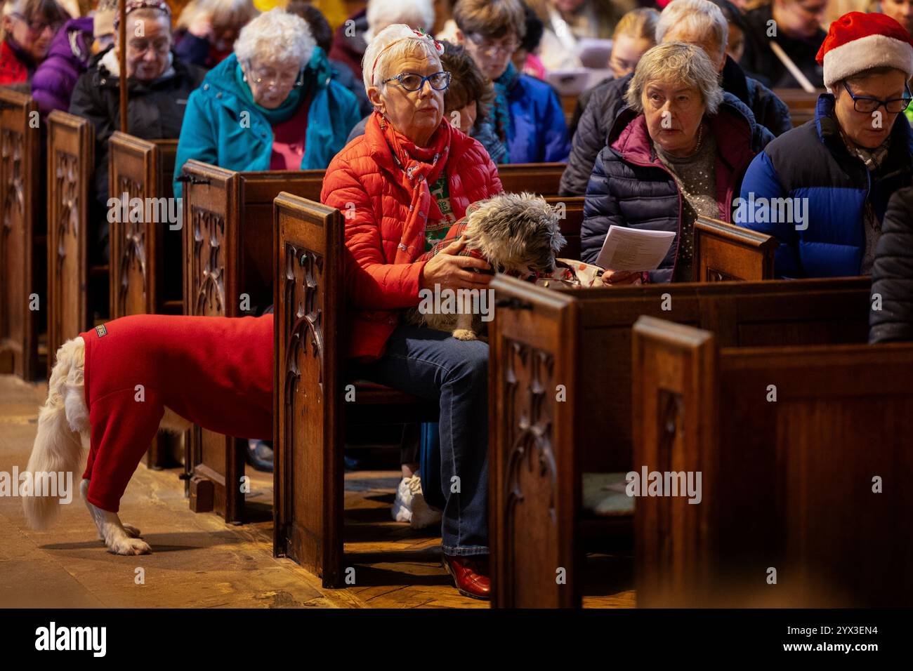 09/12/24 Dutzende Hunde - viele in ihren schönsten festlichen Kostümen - kamen zusammen, Katzen und ein Meerschweinchen beim jährlichen Celebration of Animals Service Stockfoto