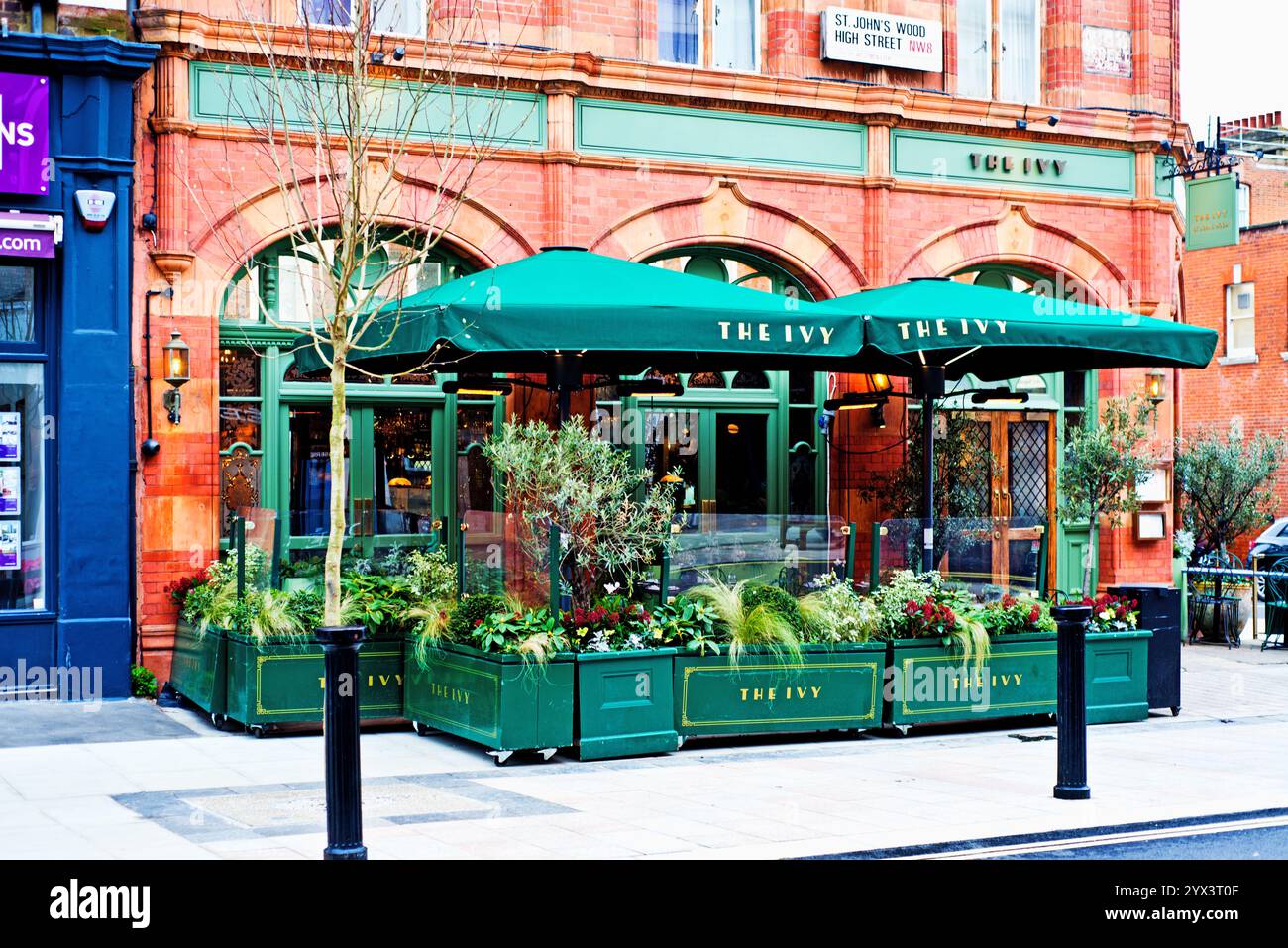 The Ivy Restaurant, St Johns Wood, London, England Stockfoto