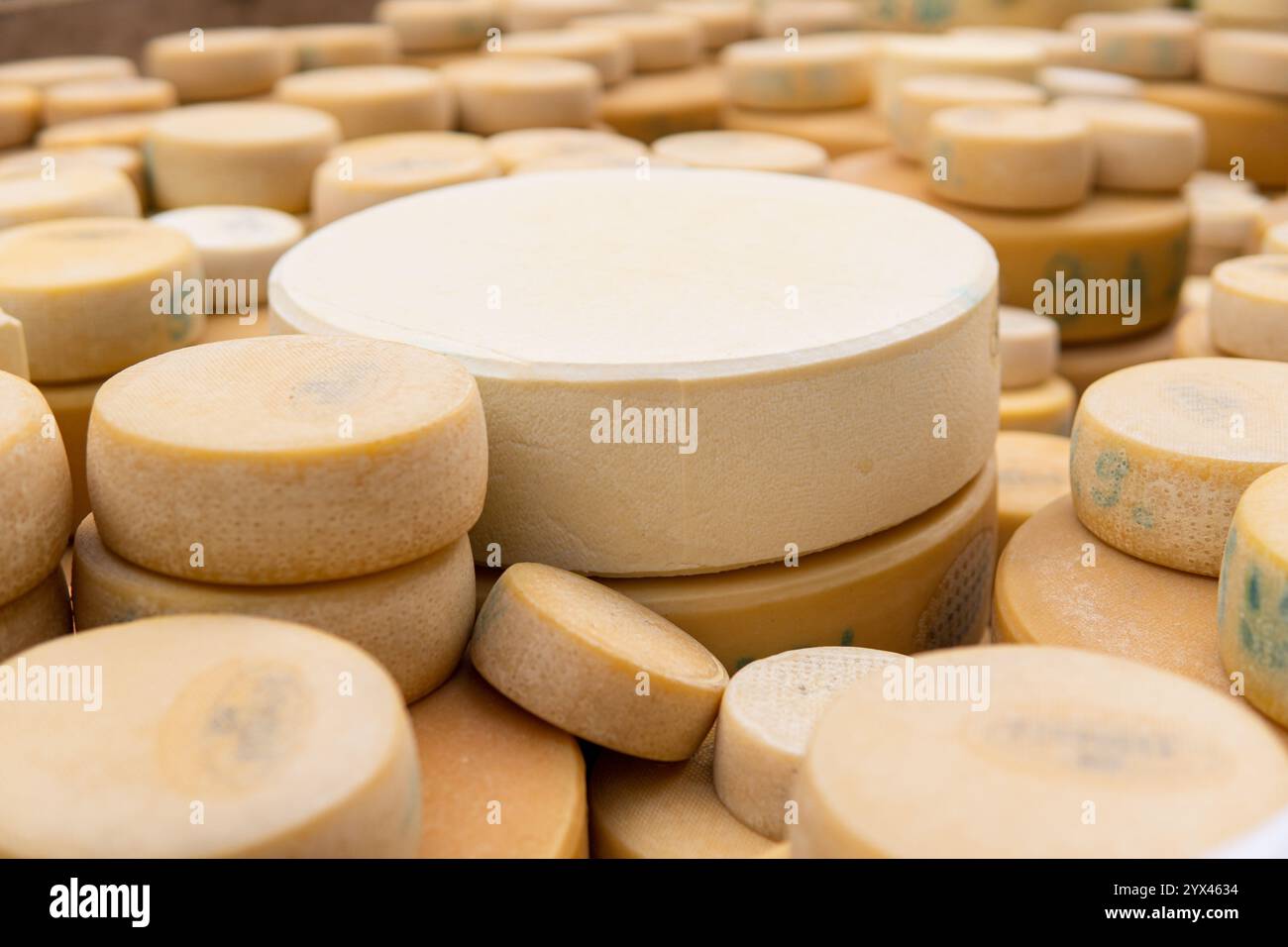 Nahaufnahme von Haufen Schweizer Kuhkäse, die während des Desalpe Festivals in Lauterbrunnen gesammelt wurden Stockfoto