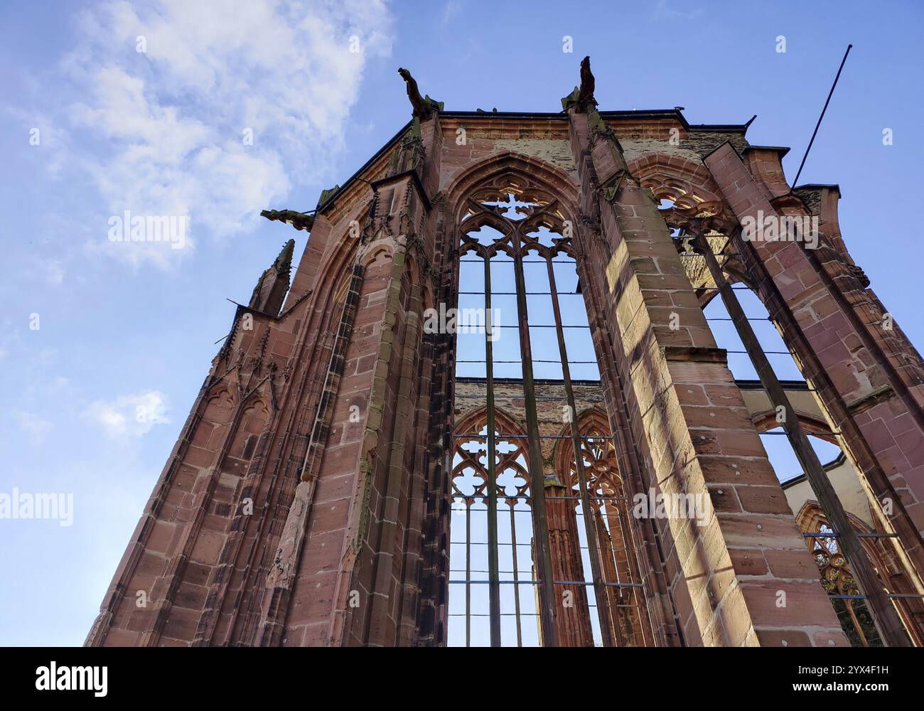 Ruine der gotischen Werner-Kapelle, Bacharach, Oberes Mittelrheintal, Rheinland-Pfalz, Deutschland, Europa Stockfoto