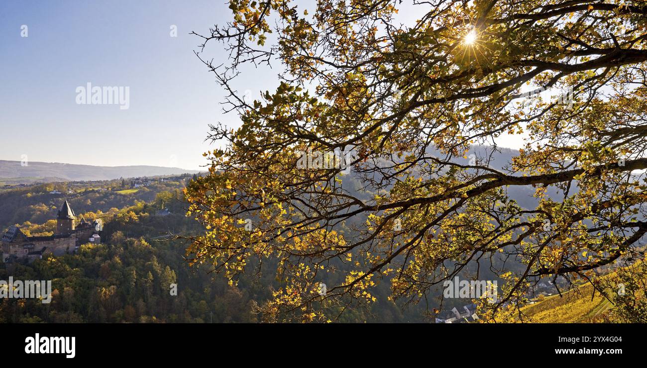 Herbstblick auf die Burg Stahleck, Bacharach, UNESCO-Weltkulturerbe Oberes Mittelrheintal, Rheinland-Pfalz, Deutschland, Europa Stockfoto