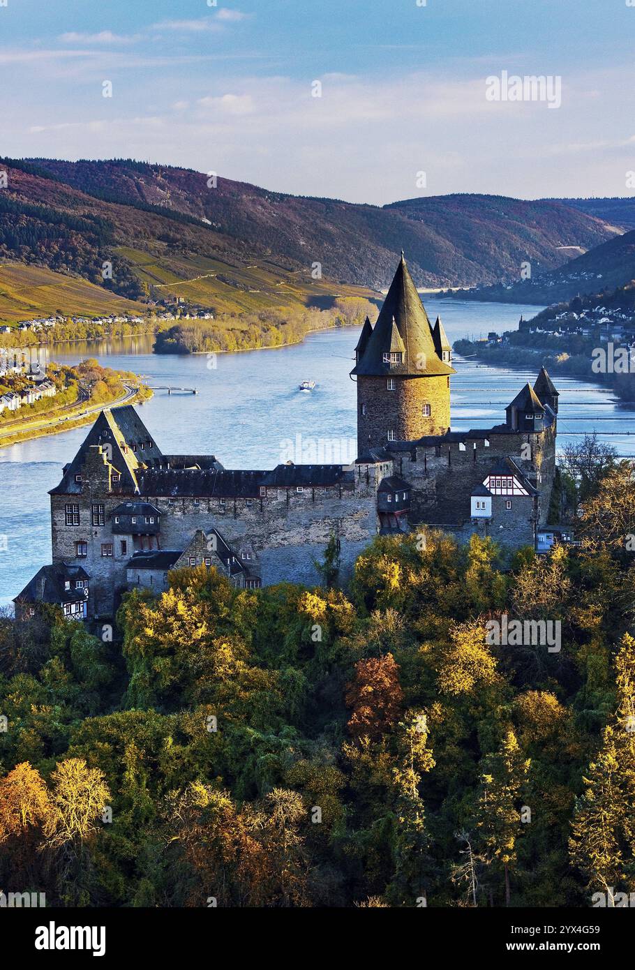 Schloss Stahleck, Burg auf einem Hügel mit Blick auf den Rhein, Bacharach, UNESCO-Weltkulturerbe Oberes Mittelrheintal, Herbst, Rheinland-Pfalz, Germa Stockfoto