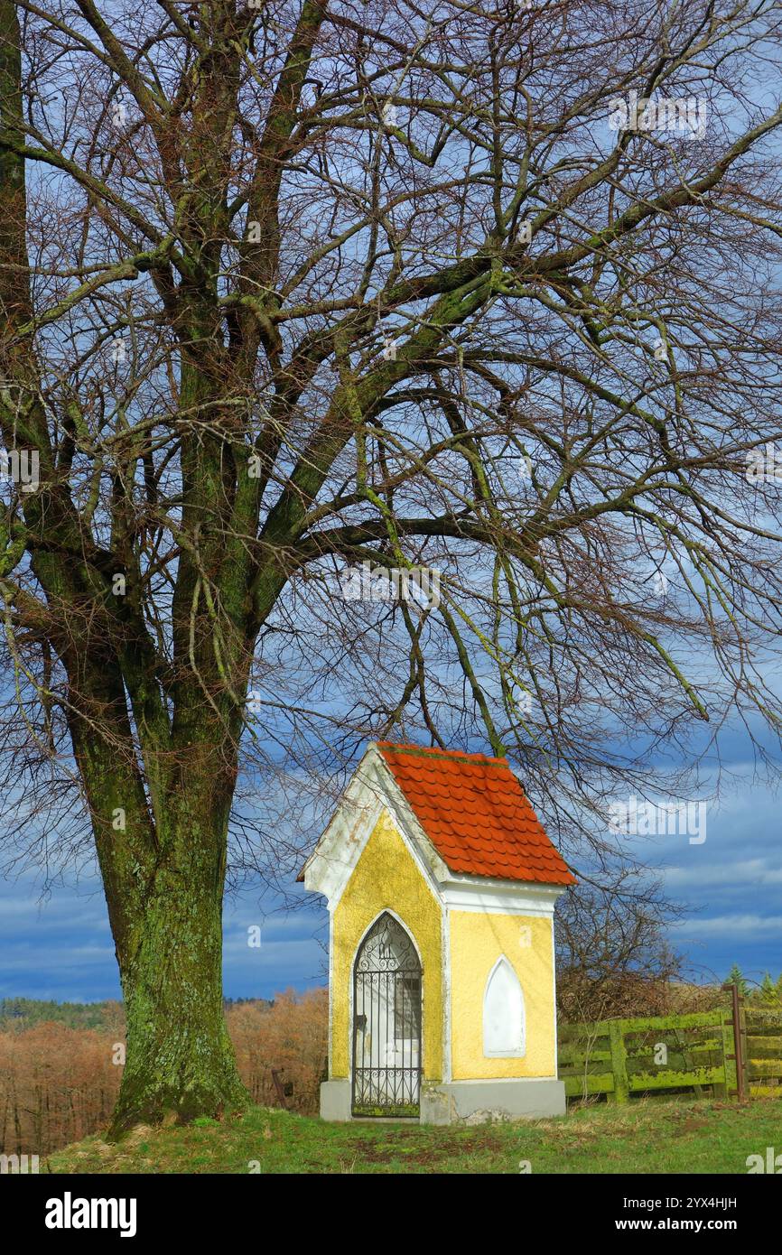Hallenkreuz, Wegkreuz, Kreuz, Kapelle, Wegkapelle, Wegkapelle, Gotteshaus, Religion, Christentum, Natur, Landschaft, Oesterreich, Niederoesterreich, W Stockfoto