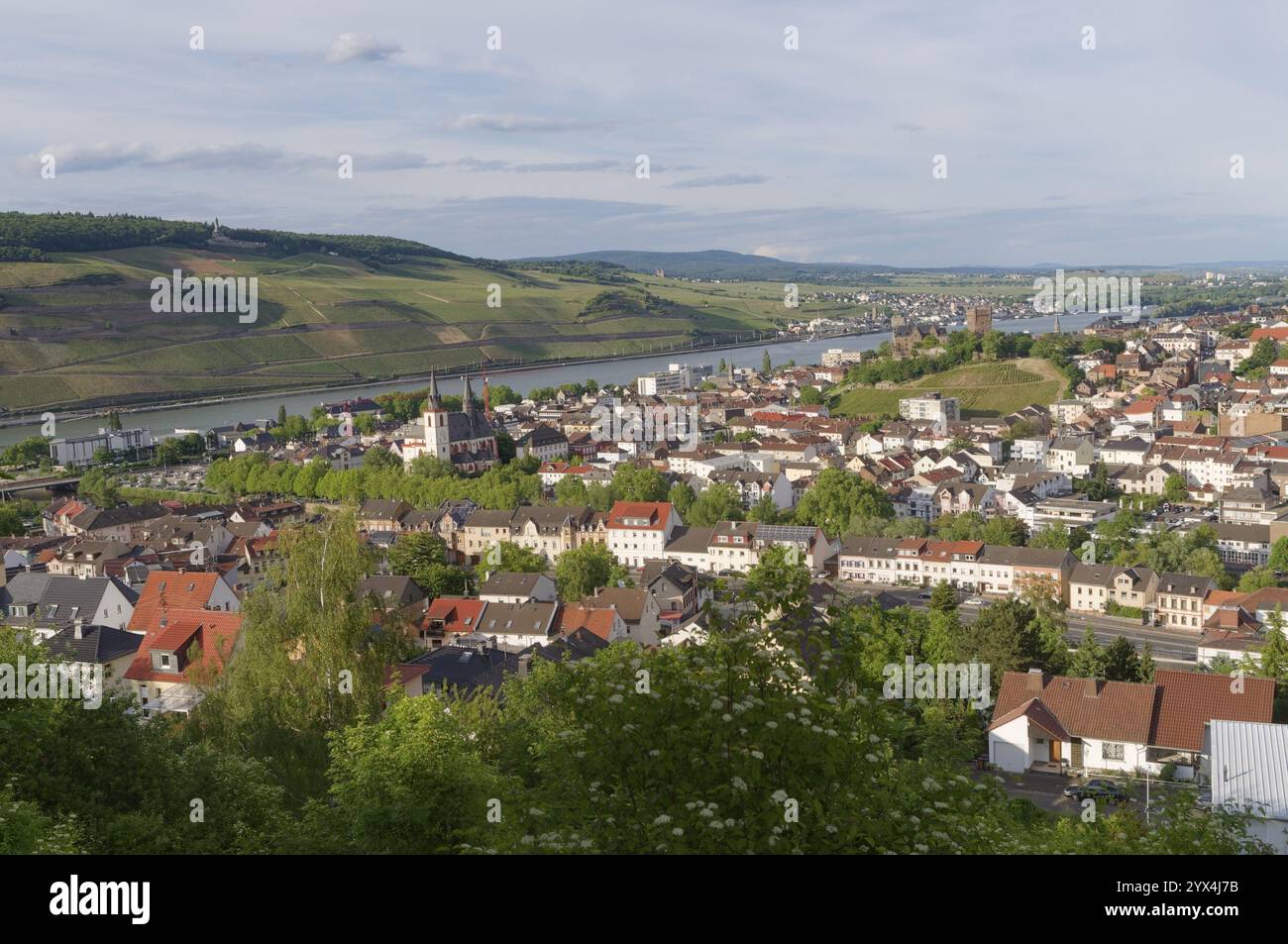 Blick auf Bingen am Rhein, Bezirk Mainz-Bingen, Rheinland-Pfalz, Mittelrheintal, Rheintal, Rhein, Deutschland, Europa Stockfoto