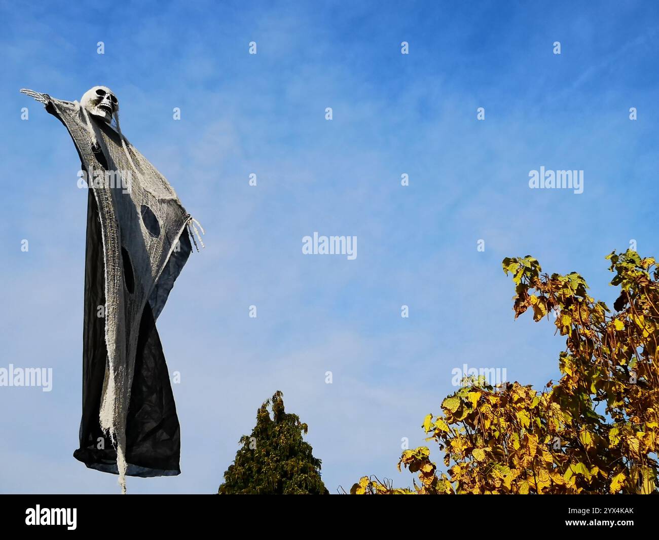 Freischwebender Geist über Baumkronen Stockfoto