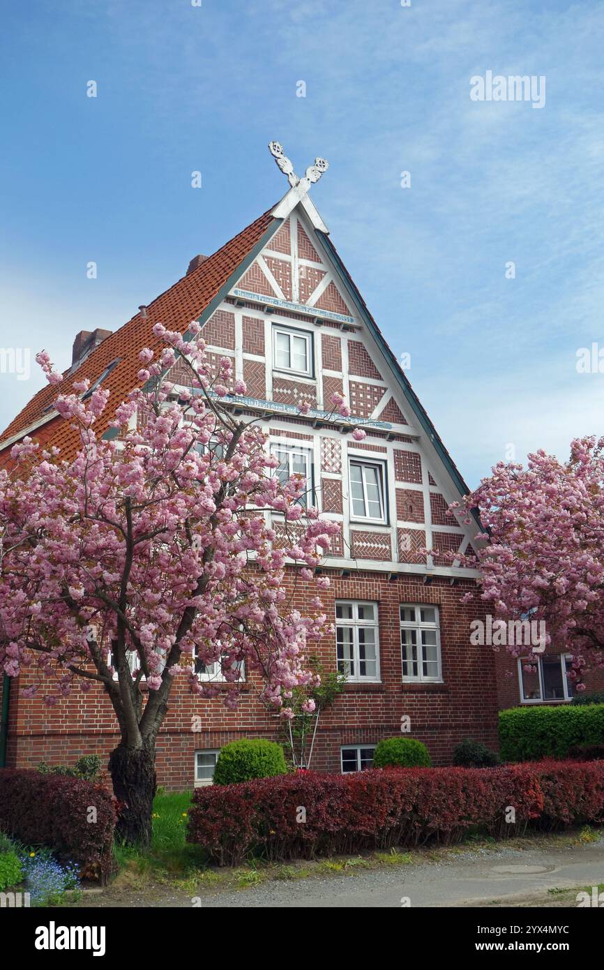 Unterelbregion, trockenes Moor, Kulturlandschaft, Obstanbaugebiet, fruchtbares Land, Landschaft, farbiges Mauerwerk, Altlaender Prunkpforte, NOR Stockfoto