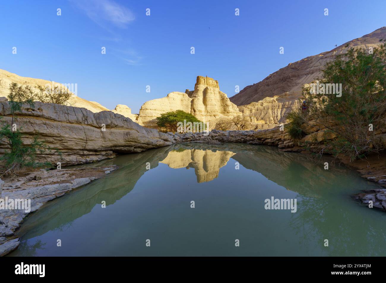 Blick auf die Zohar-Festung mit einer Winterpfütze, die Judaeische Wüste (Küste vom Toten Meer), das südliche Israel Stockfoto